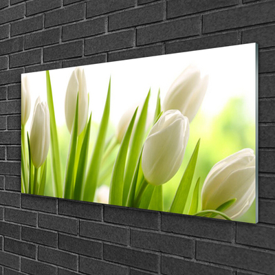 Obraz na akrylátovom skle Tulipány kvety