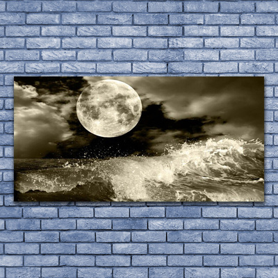 Obraz na akrylátovom skle Noc mesiac príroda