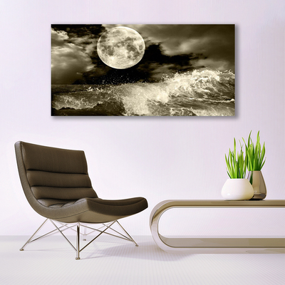 Obraz na akrylátovom skle Noc mesiac príroda