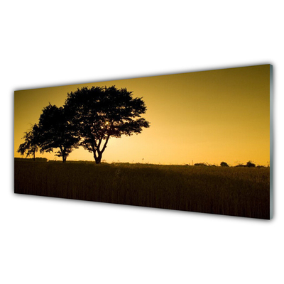 Obraz na akrylátovom skle Stromy príroda rastlina