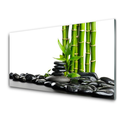 Obraz na akrylátovom skle Bambus kamene umenie