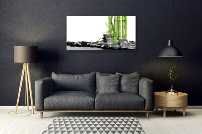 Obraz na akrylátovom skle Bambus kamene umenie