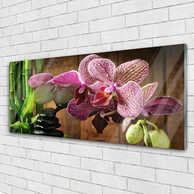 Obraz na akrylátovom skle Kvetiny bambus rastlina