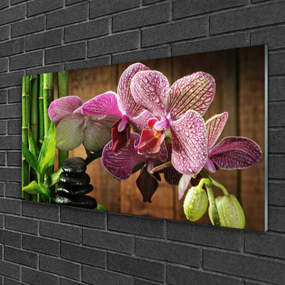 Obraz na akrylátovom skle Kvetiny bambus rastlina