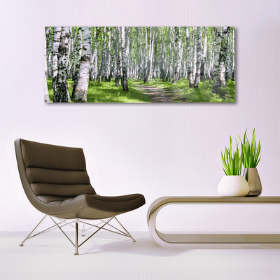 Obraz na akrylátovom skle Les chodník príroda