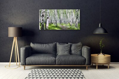 Obraz na akrylátovom skle Les chodník príroda