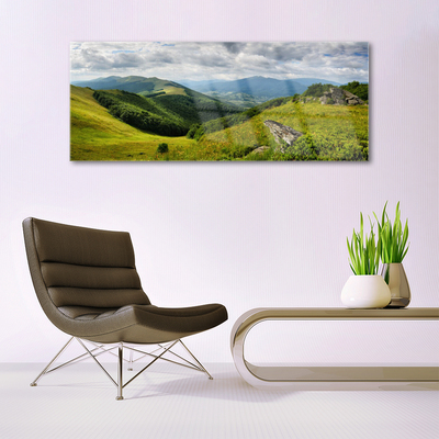 Obraz na akrylátovom skle Hora lúka krajina