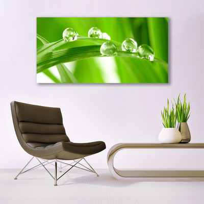 Obraz na akrylátovom skle Listy príroda rastlina