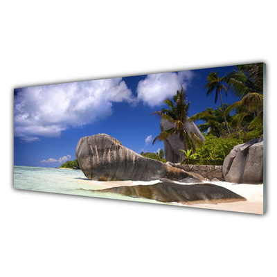 Obraz na akrylátovom skle Skaly pláž príroda