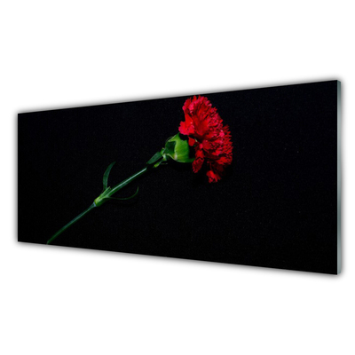 Obraz na akrylátovom skle Kvet rastlina príroda