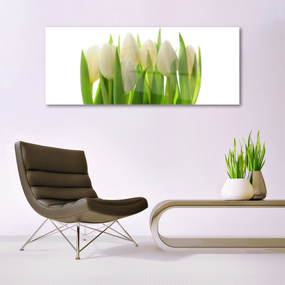 Obraz na akrylátovom skle Tulipány rastlina príroda