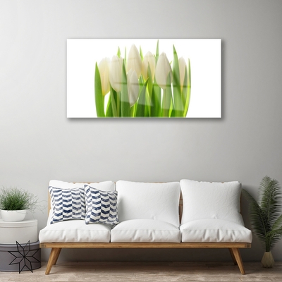 Obraz na akrylátovom skle Tulipány rastlina príroda