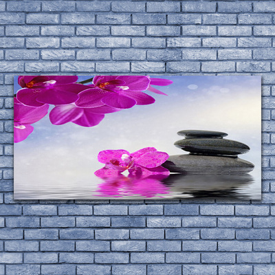 Obraz na akrylátovom skle Kvety kamene rastlina