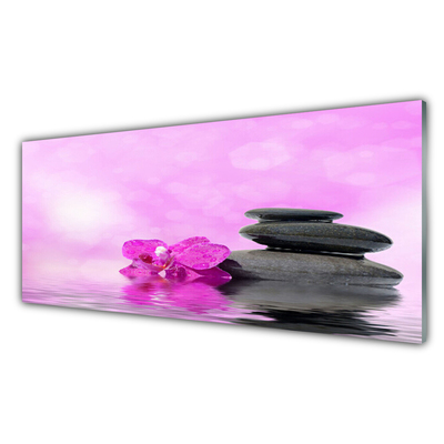 Obraz na akrylátovom skle Kvet kamene umenie