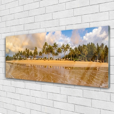 Obraz na akrylátovom skle Pláž príroda