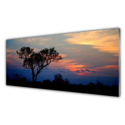 Obraz na akrylátovom skle Strom príroda