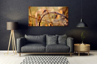 Obraz na akrylátovom skle Vážka príroda rastlina