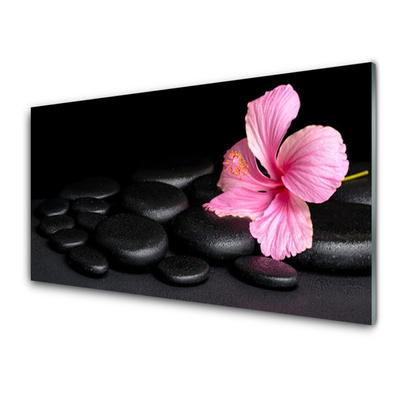 Obraz na akrylátovom skle Kamene kvet umenie