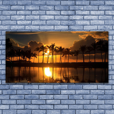 Obraz na akrylátovom skle Stromy slnko krajina