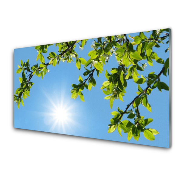 Obraz na akrylátovom skle Slnko príroda