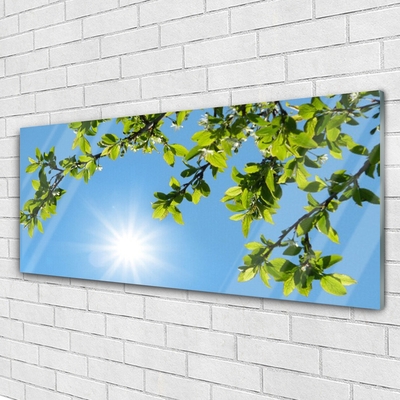 Obraz na akrylátovom skle Slnko príroda