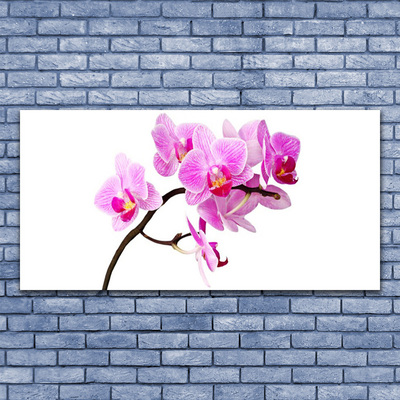 Obraz na akrylátovom skle Kvety rastlina príroda