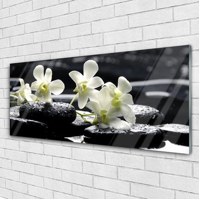 Obraz na akrylátovom skle Kvet kamene rastlina