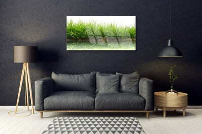 Obraz na akrylátovom skle Tráva voda príroda rastlina