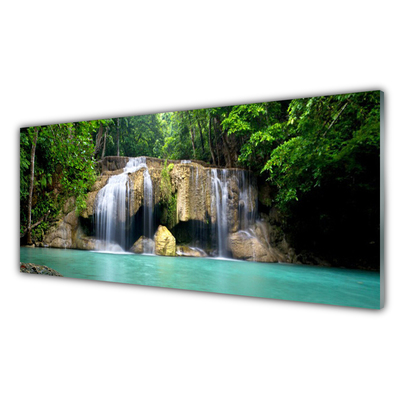 Obraz na akrylátovom skle Vodopád strom príroda