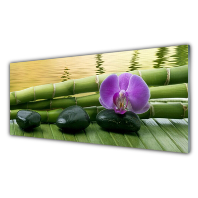 Obraz na akrylátovom skle Kvet kamene bambus príroda