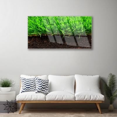 Obraz na akrylátovom skle Tráva príroda rastlina