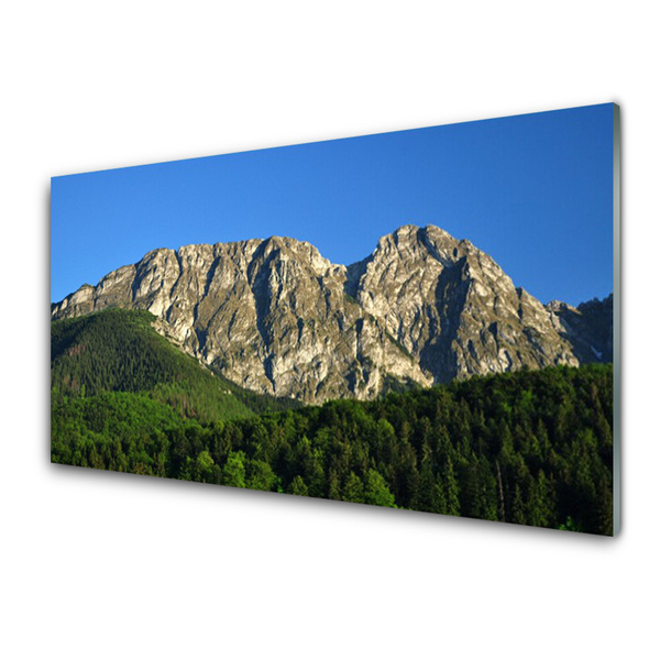 Obraz na akrylátovom skle Hora les príroda