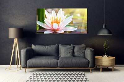 Obraz na akrylátovom skle Kvety rastlina príroda