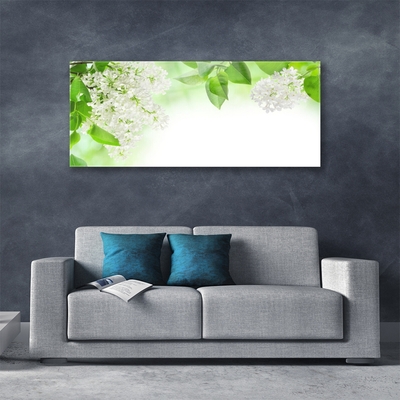 Obraz na akrylátovom skle Plátky rastlina príroda