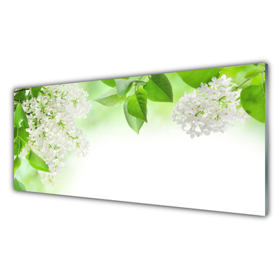 Obraz na akrylátovom skle Plátky rastlina príroda