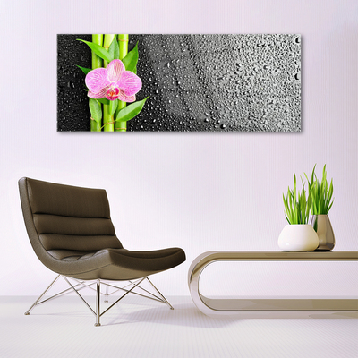 Obraz na akrylátovom skle Bambus stonky kvet rastlina