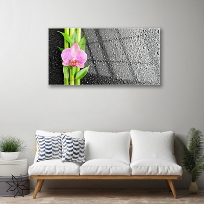 Obraz na akrylátovom skle Bambus stonky kvet rastlina