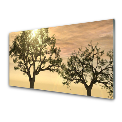 Obraz na akrylátovom skle Stromy príroda
