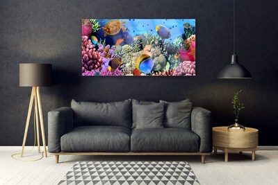 Obraz na akrylátovom skle Koralový útes príroda