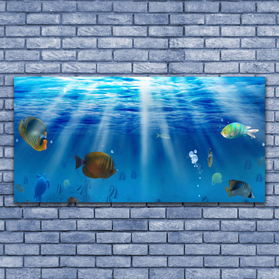 Obraz na akrylátovom skle Ryba príroda