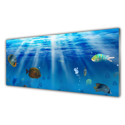 Obraz na akrylátovom skle Ryba príroda
