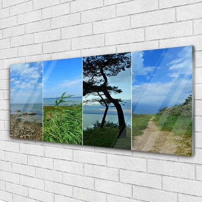 Obraz na akrylátovom skle Pláž strom príroda