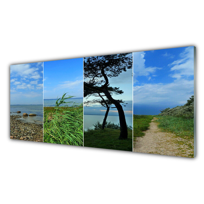 Obraz na akrylátovom skle Pláž strom príroda