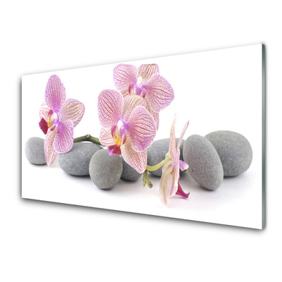 Obraz na akrylátovom skle Strom kamene rastlina