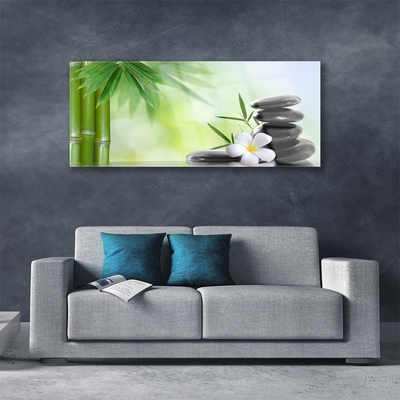 Obraz na akrylátovom skle Bambus stonka kvet rastlina