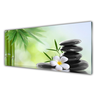 Obraz na akrylátovom skle Bambus stonka kvet rastlina