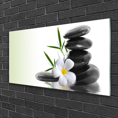 Obraz na akrylátovom skle Kvet kamene umenie