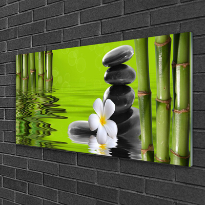 Obraz na akrylátovom skle Bambus kamene rastlina