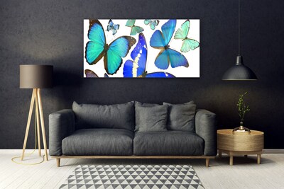 Obraz na akrylátovom skle Motýle príroda