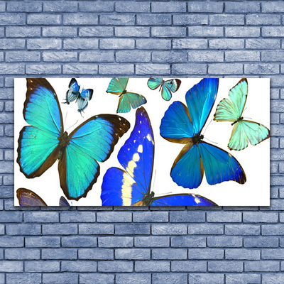 Obraz na akrylátovom skle Motýle príroda